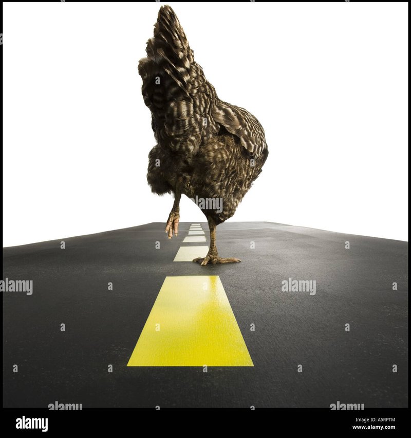 Image: Descubre los Secretos detrás del Juego de Azar más Popular en España: Chicken