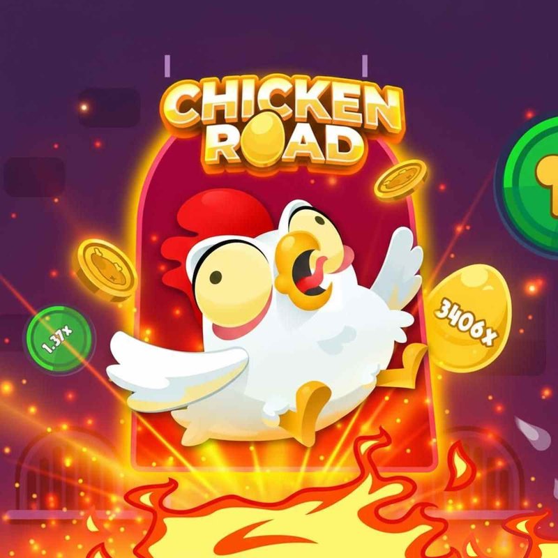 A look at chicken road